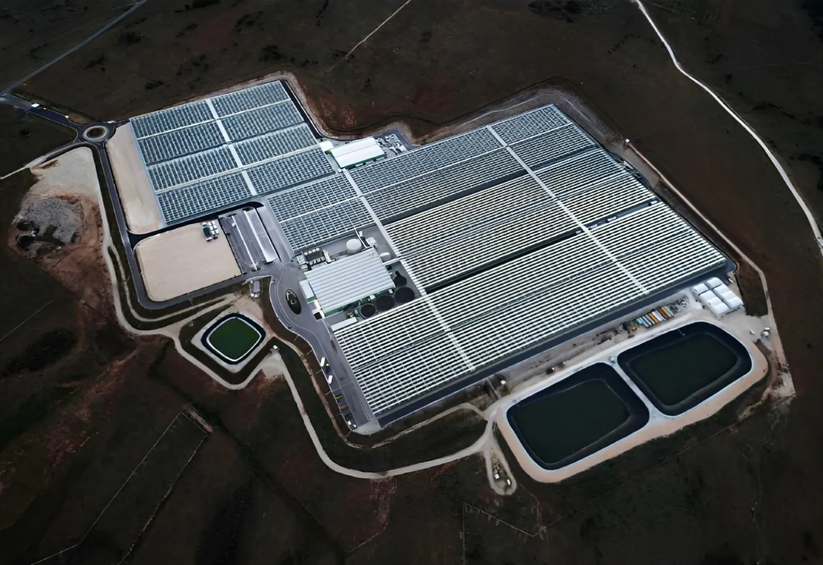 Greenhouse Horticulture