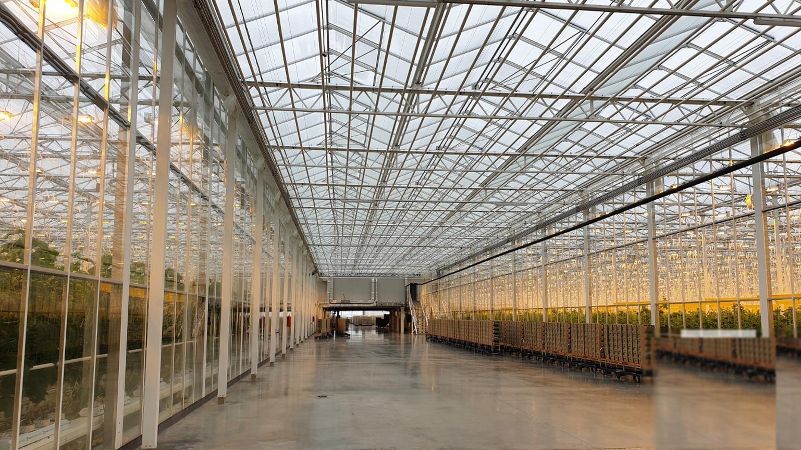 Interior view of agricultural facility